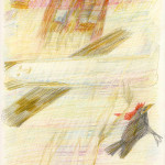 Adolf Buchleiter: o.T., 4-Farbstift, DIN A 4, 1986